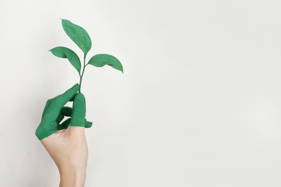 Left hand with the fingers painted green holding a small branch with three green leaves. White background.